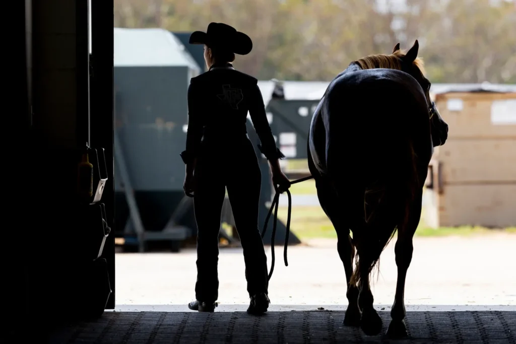 Silhouette of person leading horse