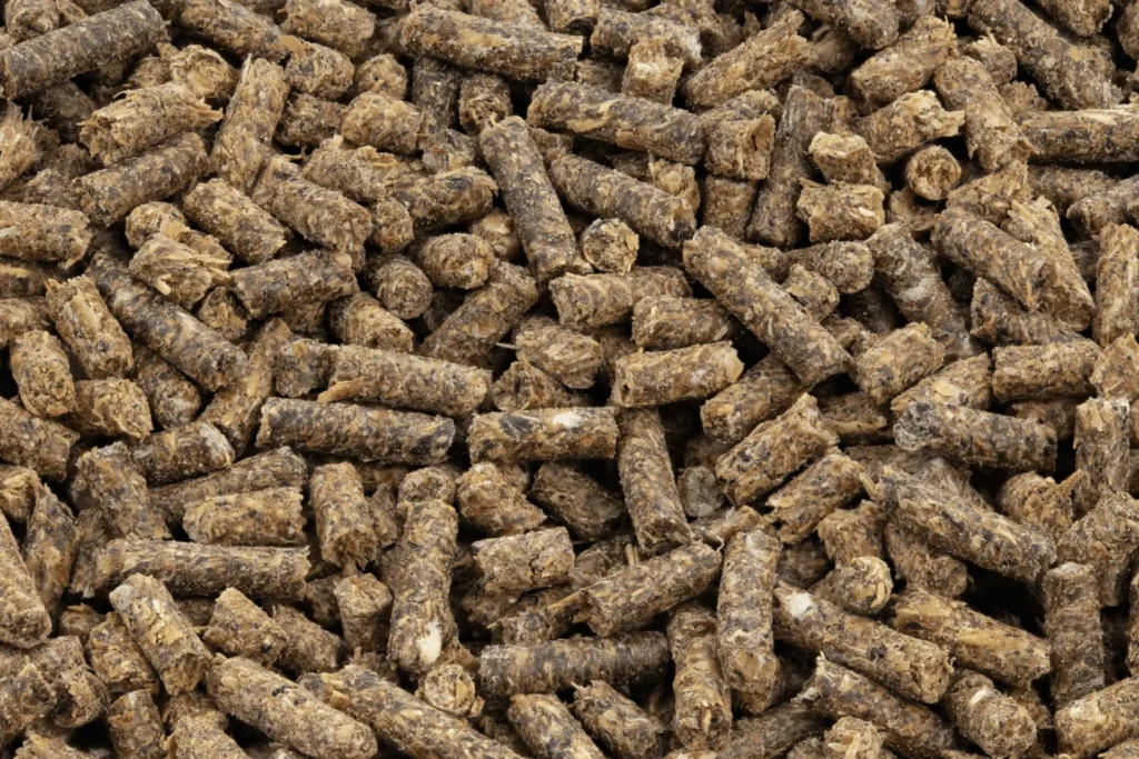 Brown pellets scattered on surface