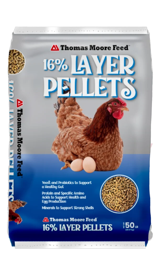 16% Layer Pellets from Thomas Moore Feed
