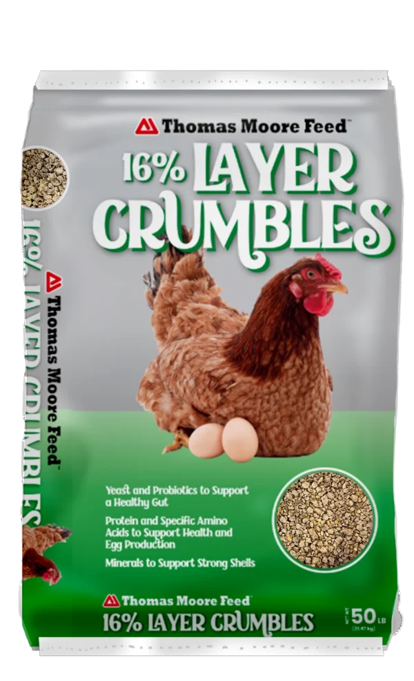 16% layer crumble chicken feed