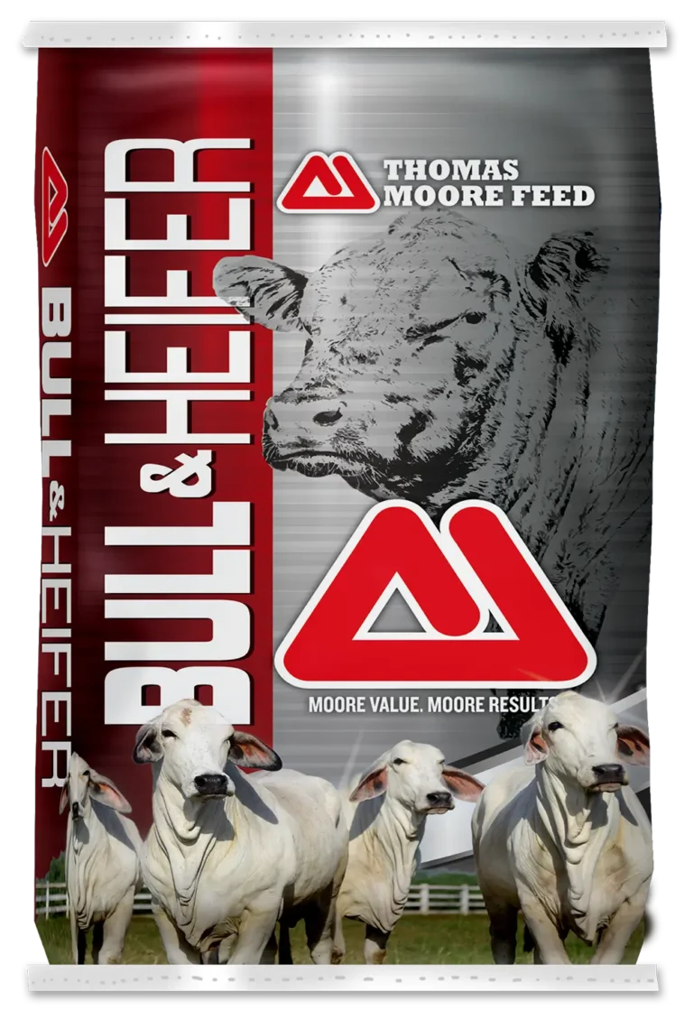 Bull and Heifer Developer Feed from Thomas Moore Feed.
