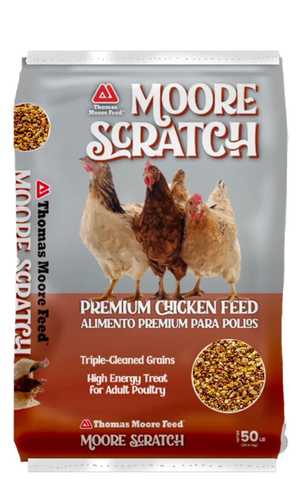 Hen Scratch feed by thomas moore feed