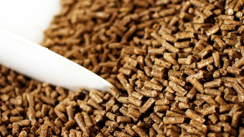 Close-up of high-quality farm livestock feed, showing grains and pellets, for poultry, cattle, and animal nutrition