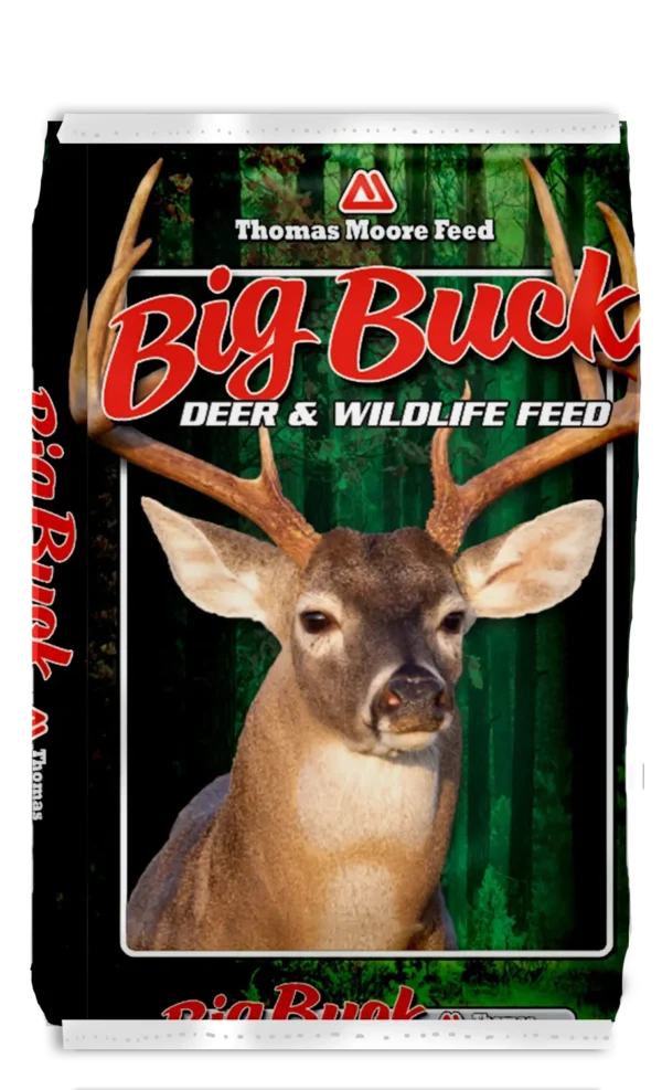 Big Buck fully loaded cotton seed feed.