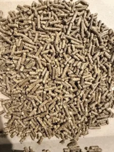 thomas moore feed mare and foal.