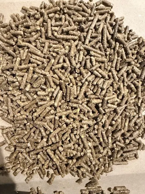 thomas moore feed mare and foal.