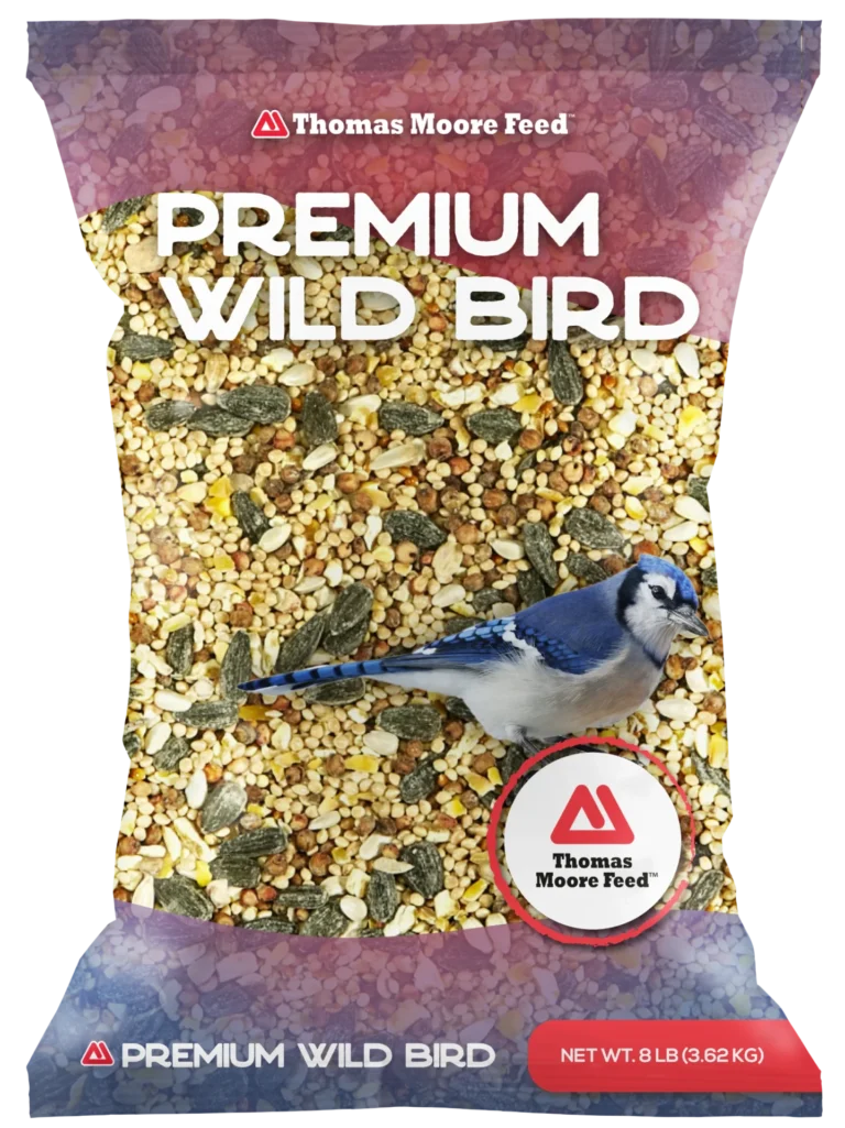 Thomas Moore Feed Premium Wild Bird 8 lb bag with mixed bird seed and blue jay on purple packaging