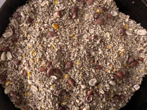 patio blend seeds up close