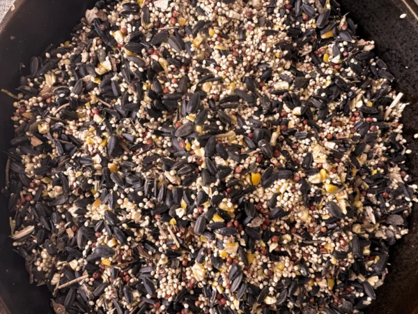 premium wild bird seeds up close