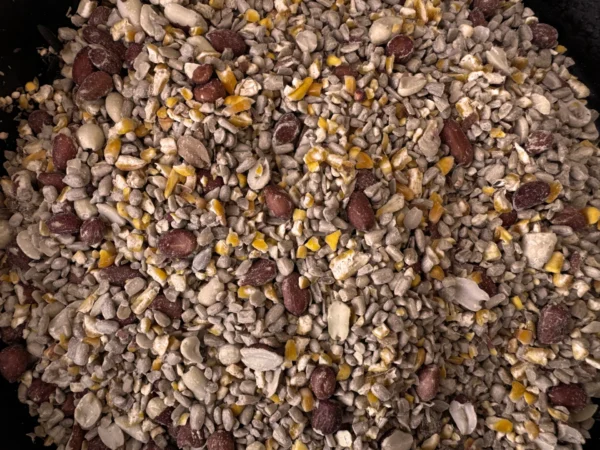 shell free no sprout seeds up close