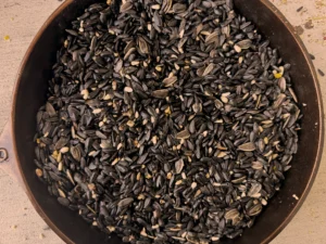 songbird blend seeds up close