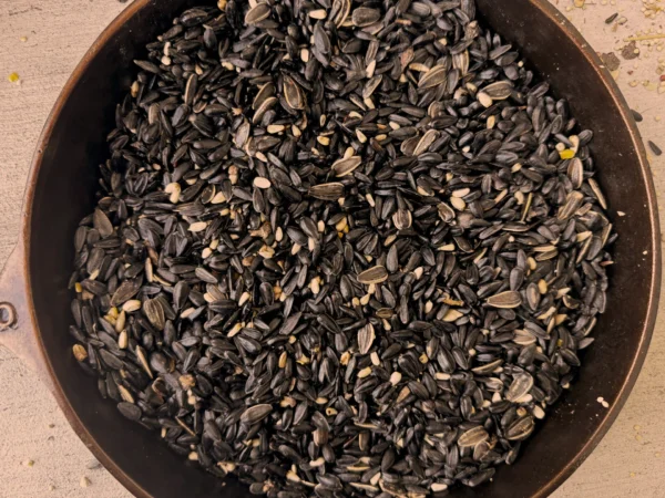 songbird blend seeds up close