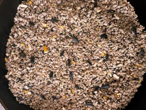 Wild Finch seeds up close