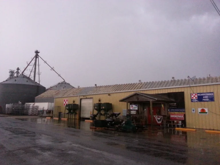 Ricardo Ranch and Feed store exterior with grain silos and feed equipment on a rainy day