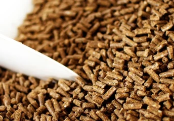 Close-up of high-quality farm livestock feed, showing grains and pellets, for poultry, cattle, and animal nutrition